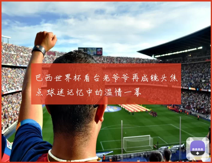 巴西世界杯看台老爷爷再成镜头焦点 球迷记忆中的温情一幕